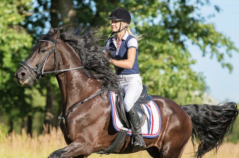 horse riding caboolture